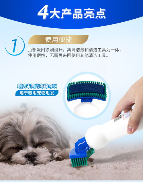 貝克曼博士干洗劑 家居深層清潔的秘密武器