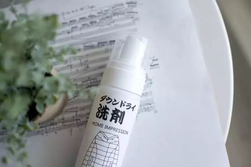 日本羽絨服干洗劑 輕松一噴，污漬瞬間消失，干洗新革命